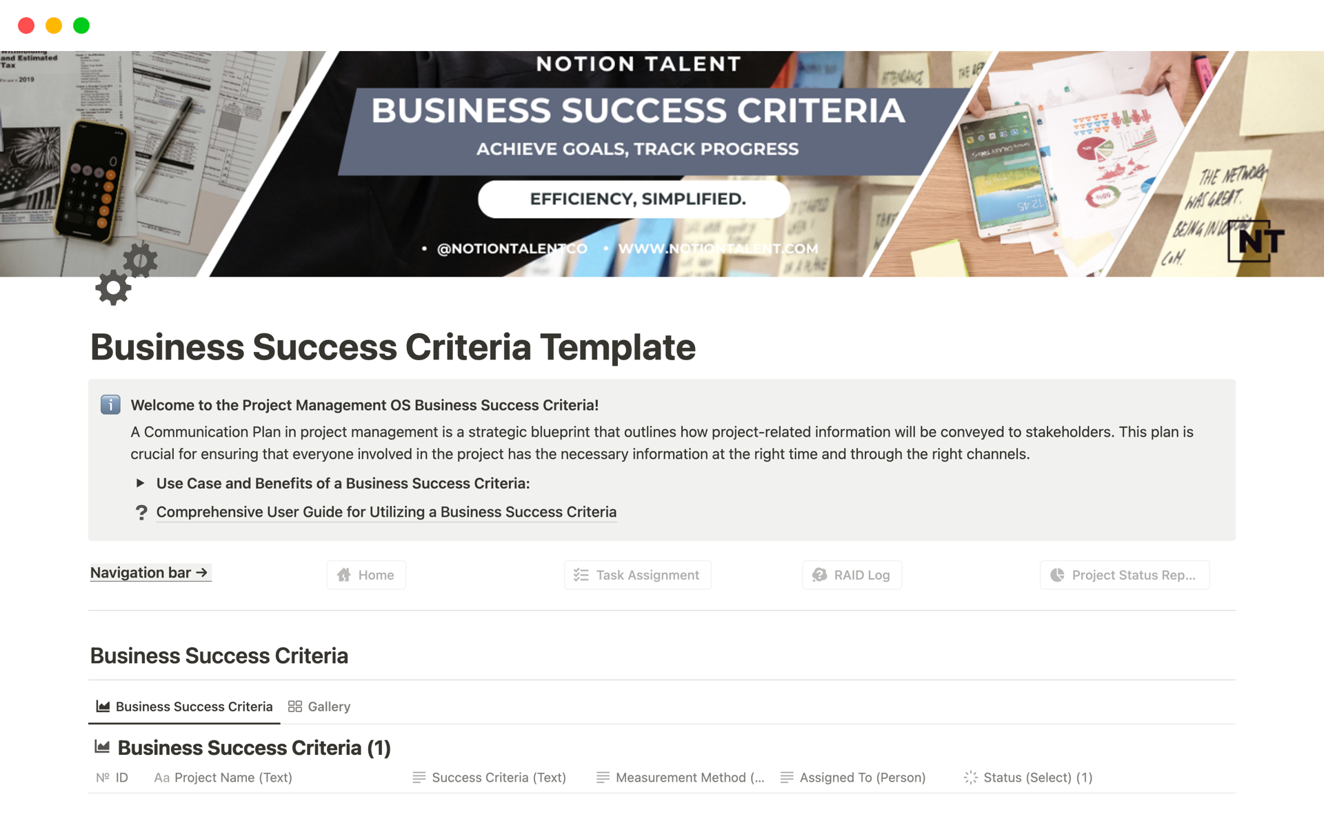 Eine Vorlagenvorschau für Business Success Criteria
